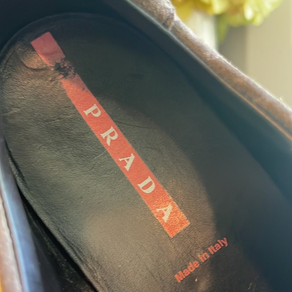 Prada Calzature Brown Suede America’s Cup Trainer Sneakers - Picture 11 of 16